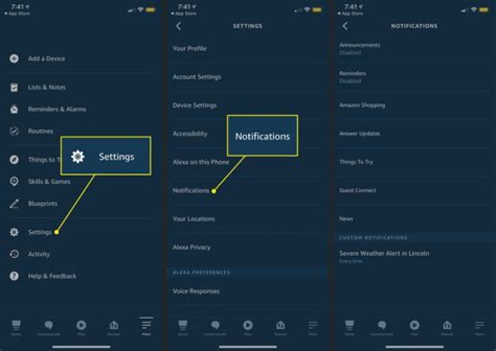 Alexa App Notifications Steps