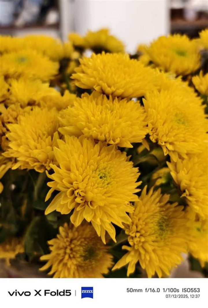 Camera Sample 2