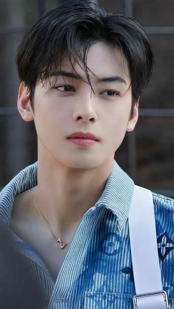 Cha EunWoo's Engagement Love, Life, And The Future