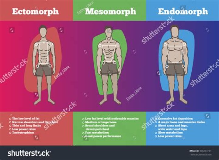 Ecto Mesomorph