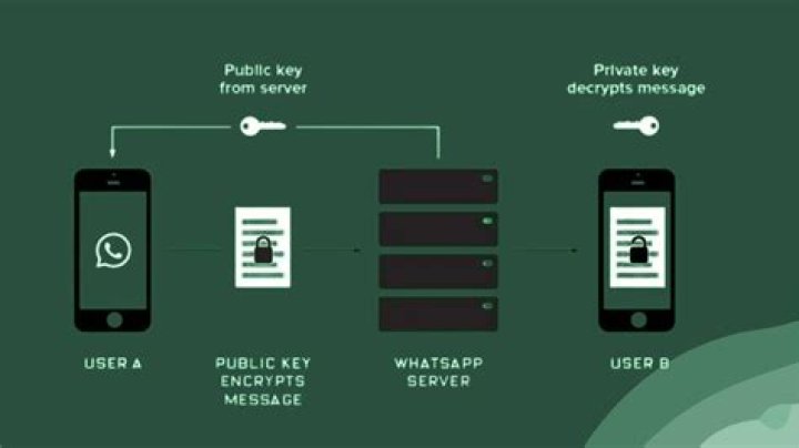 Encryption info about WhatsApp