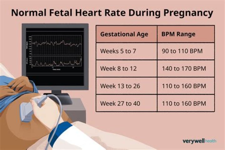 Finding Her Heartbeat