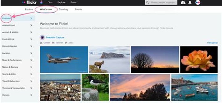Flickr