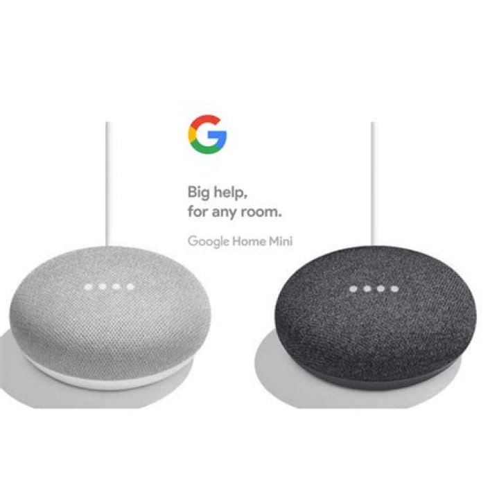 Google Home Mini Back Arrow