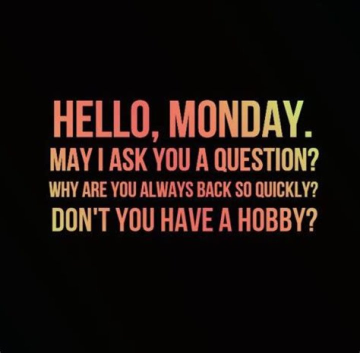 Hello, Monday. May I ask you a question? Why are you always back so quickly? Don't you have a hobby?