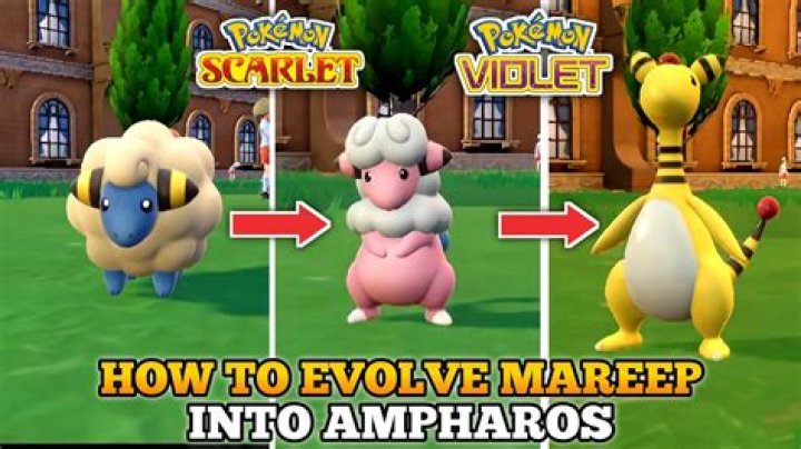 How do you get a Mareep egg from Primo?