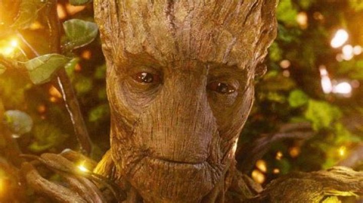 Is Groot immortal?