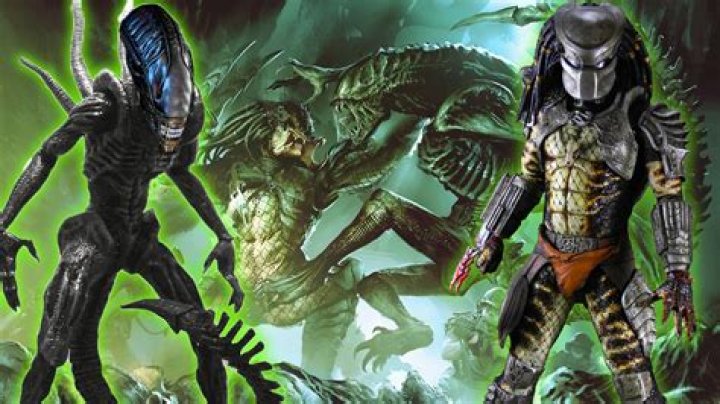 Is Predator good or bad?