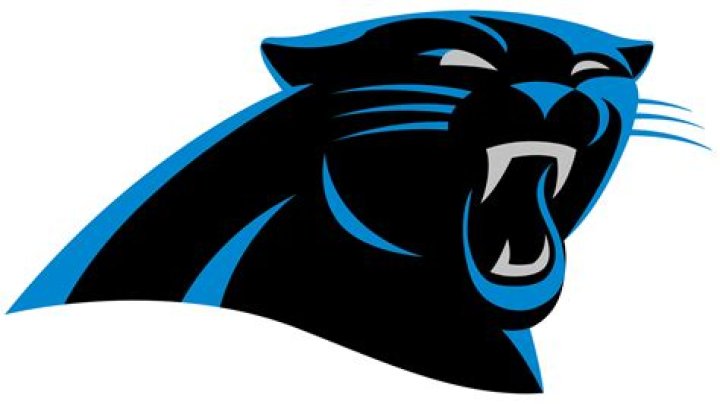 Panthers logo