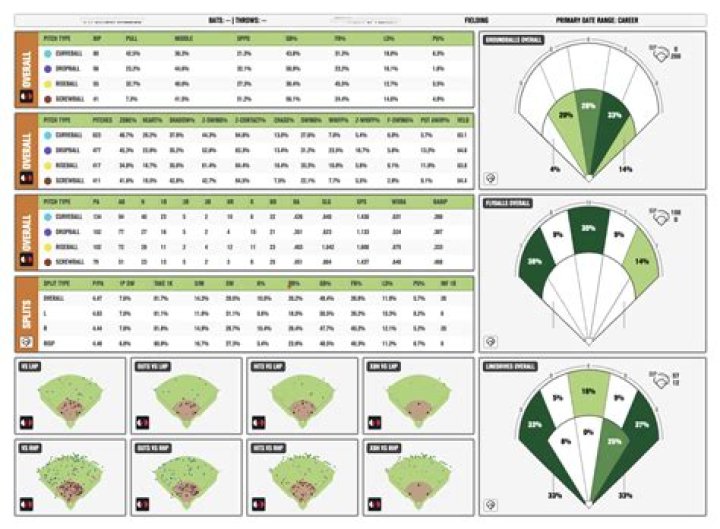Softball defensive plater