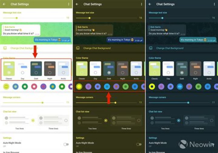 Telegram customization options