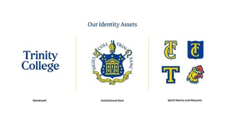 Trinity College - Connecticut logo