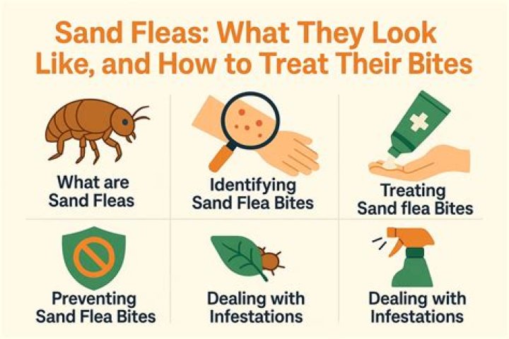 What do fleas hate on humans?