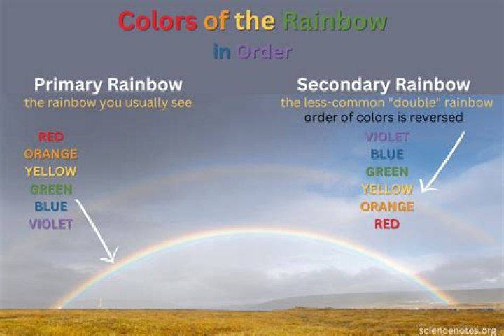 What does rainbow habitat do?