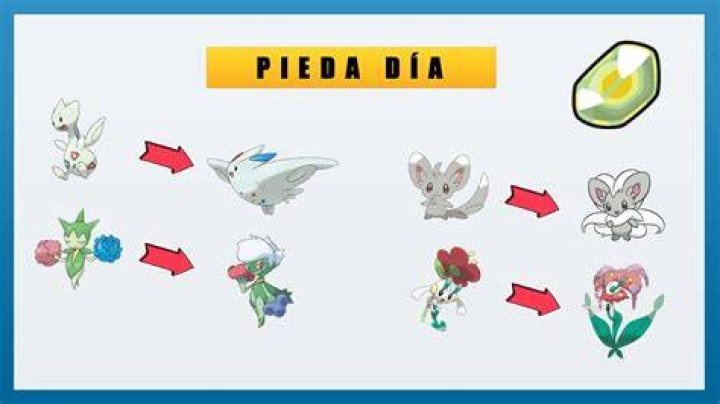 What does shiny stone evolve?