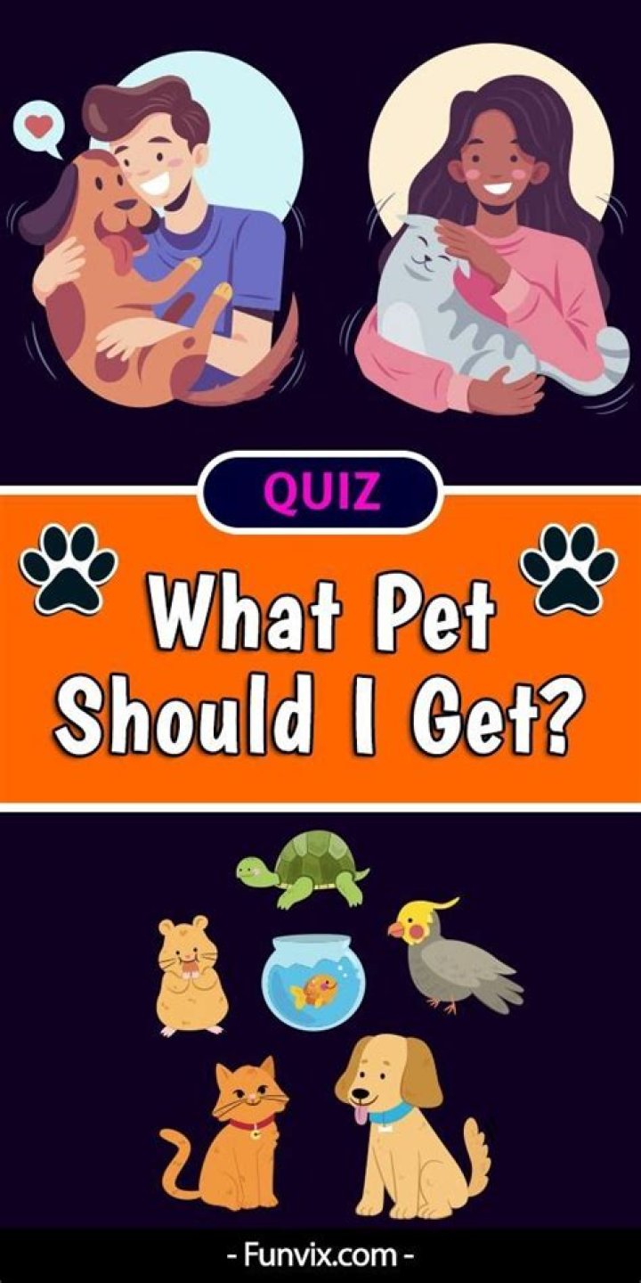 What Pet Should I Get