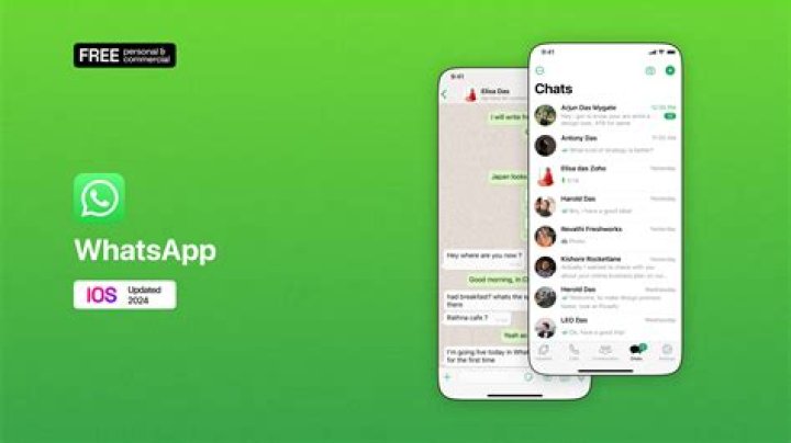 Whatsapp Interface Screenshot