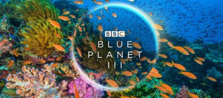 Will there be a Blue Planet 3?