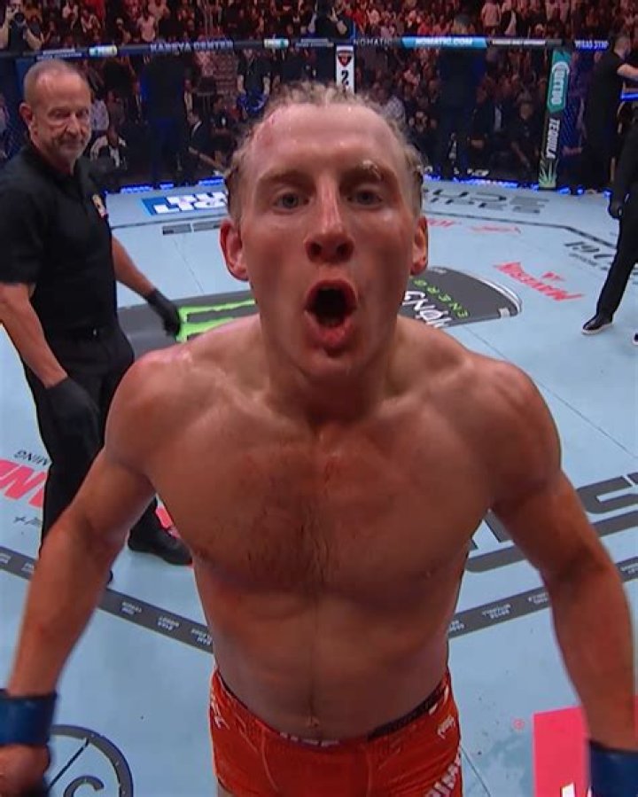 Will UFC 4 Add elbows?